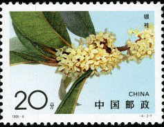 Sweet-scented Osmanthus