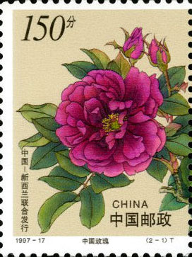 China Rose (left)
