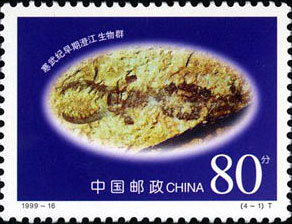 Early Cambrian Chengjiang Biota