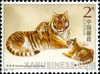 South China Tiger