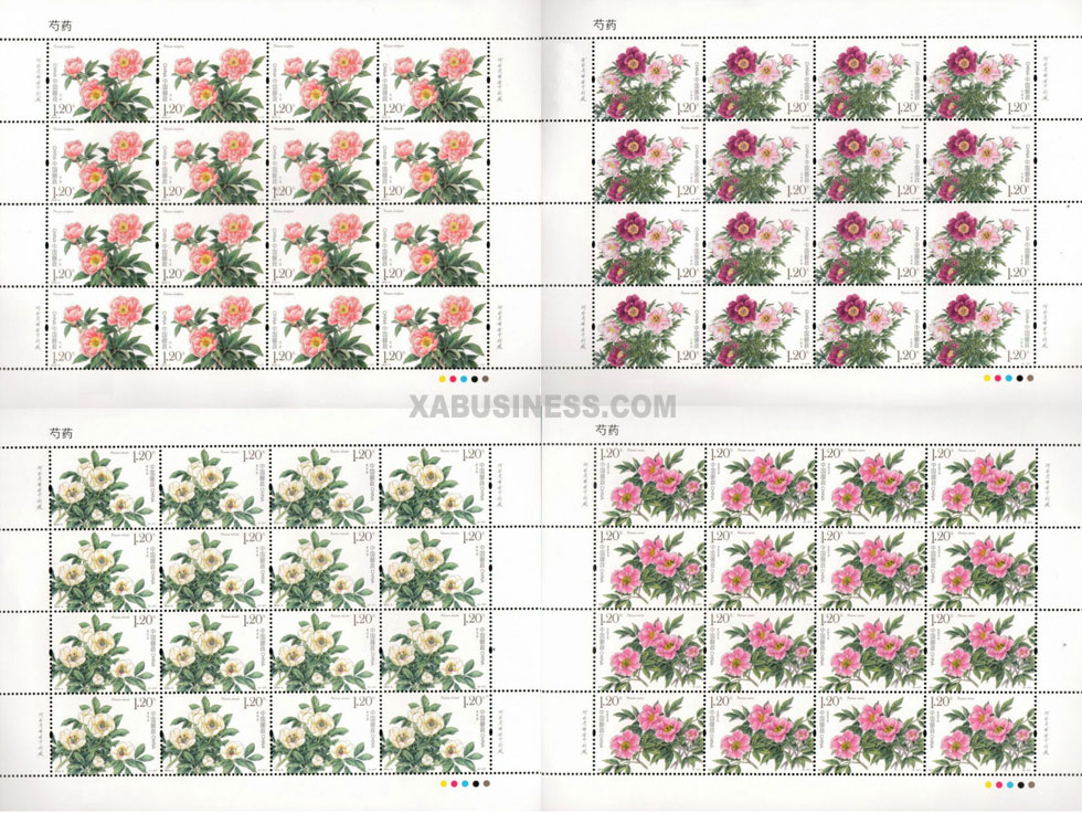 Chinese Herbaceous Peony (Full Sheet)