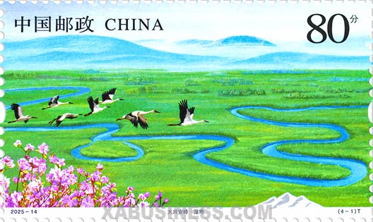 Wetland