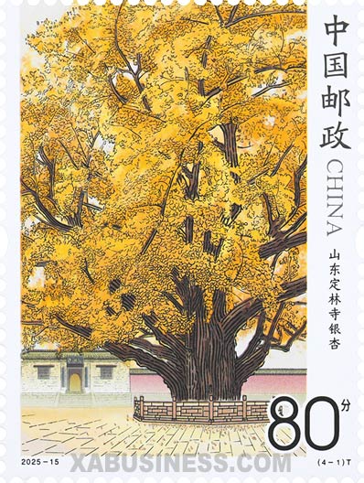The Ginkgo of Dinglin Temple, Shandong