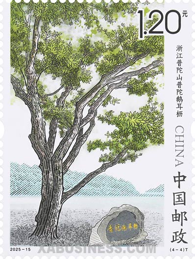 The Putuo Hornbeam of Putuo Mountain, Zhejiang