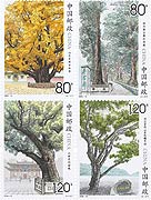 Ancient and Notable Trees