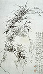 Orchid and Rocks, Chinese painting, Zhen Xie