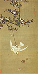 The Parrot attacking the Butterfly. Hu Mei, Chinese painting