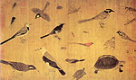 Painting of Rare birds and Insects, Huang Quan
