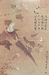 Hibiscus Flower and Golden Pheasant, Chinese ancient painting