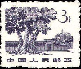 Sha Zhou Ba in Ruijin