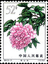 Peonies