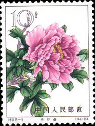 Peonies