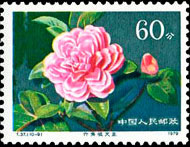 Camellias of Yunnan