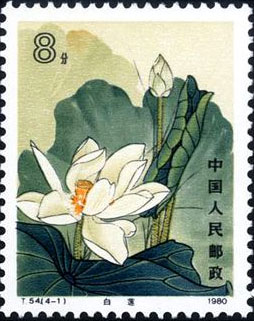 Lotus