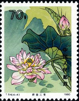 Lotus