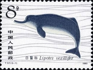 Chinese River Dolphin