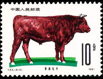 Cattle