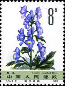 Aconite