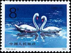 Swans