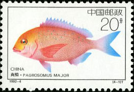 Pagrosomus Major