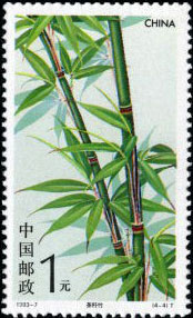 Tea Shaft Bamboo
