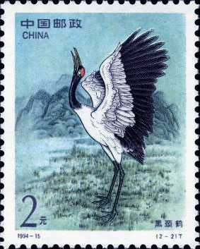 Black Neck Crane
