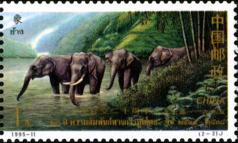 Asian Elephant (right)