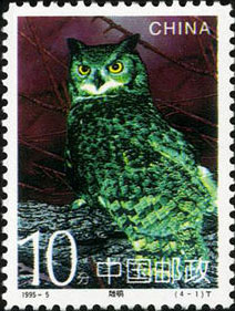 Owl