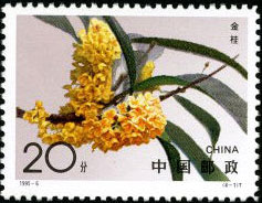 Sweet-scented Osmanthus