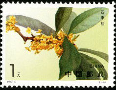 Sweet-scented Osmanthus