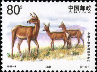 Red Deer