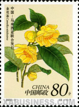 Golden Camellia