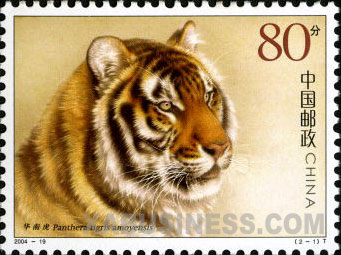 South China Tiger