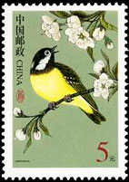 Yellow-bellied Tit