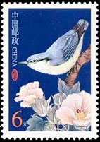 Yunnan Nuthatch