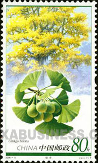 Ginkgo biloba