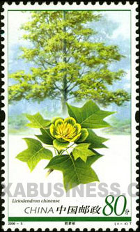Liriodendron chinese