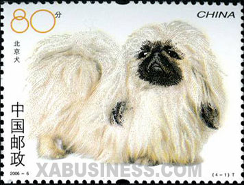 Pekingese