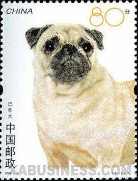 Pug