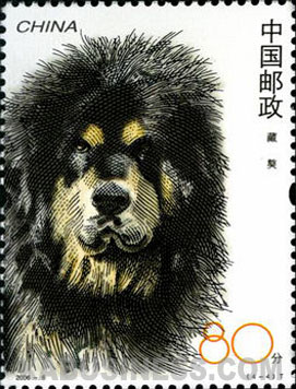 Tibetan Mastiff