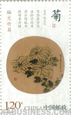 Ju ( Chrysanthemum )