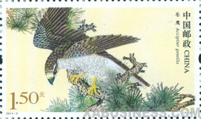 Accipiter gentilis