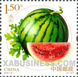 watermelon