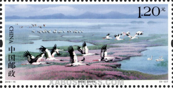 Poyang Lake National Wetland Park