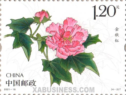 Hibiscus Mutabilis Jinqiuhong