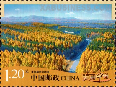 Forest of Saihanba in Chengde