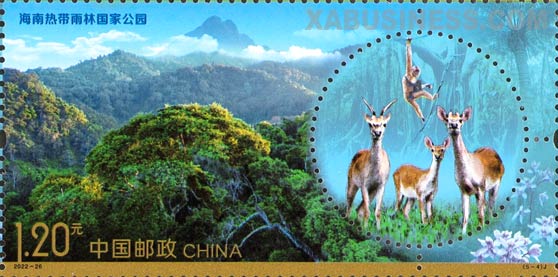 Hainan Tropical Rain Forest National Park
