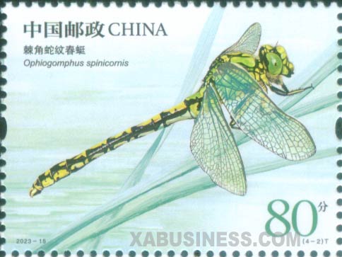 Ophiogomphus Spinicornis