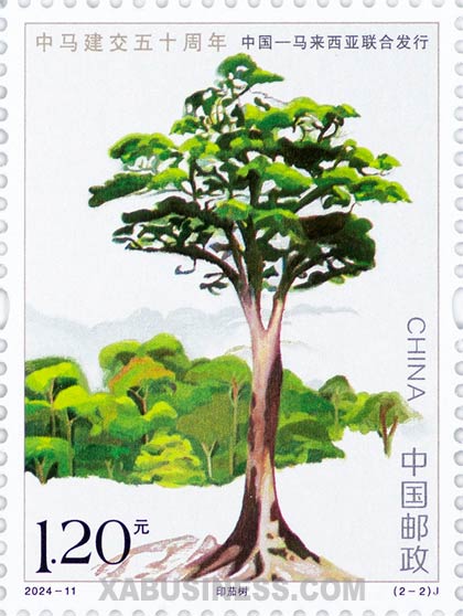 Merbau Tree