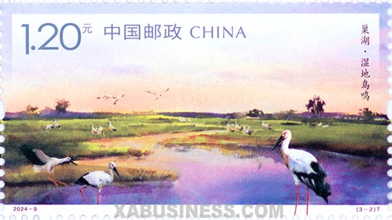 Birds in the Wetlands